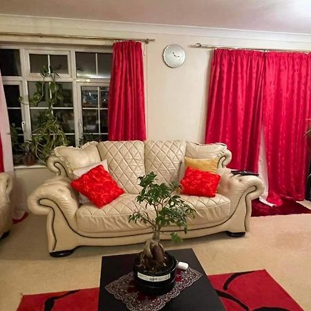 Cozy Homestay Croydon Bagian luar foto