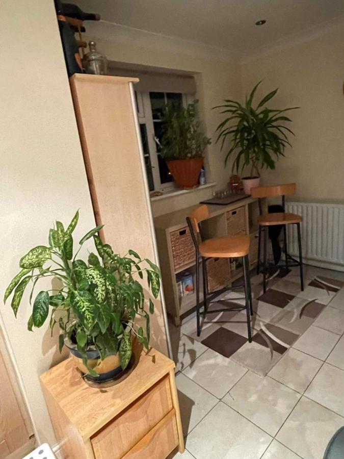 Cozy Homestay Croydon Bagian luar foto