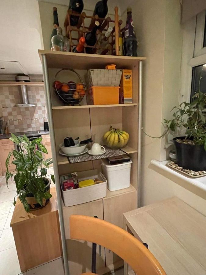 Cozy Homestay Croydon Bagian luar foto