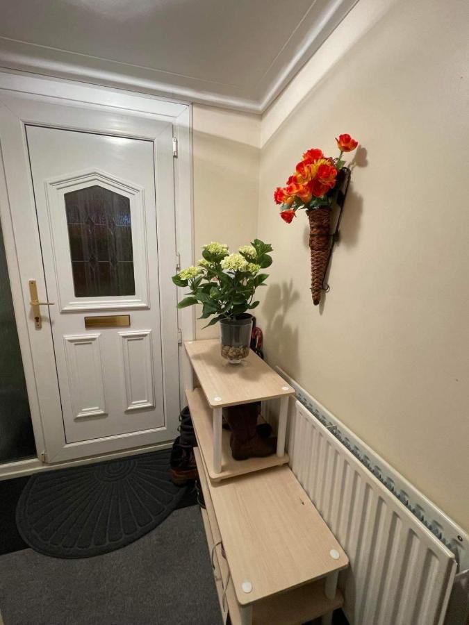 Cozy Homestay Croydon Bagian luar foto